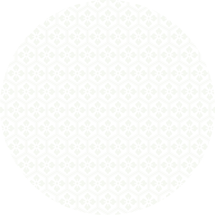 Sagami Xtreme background